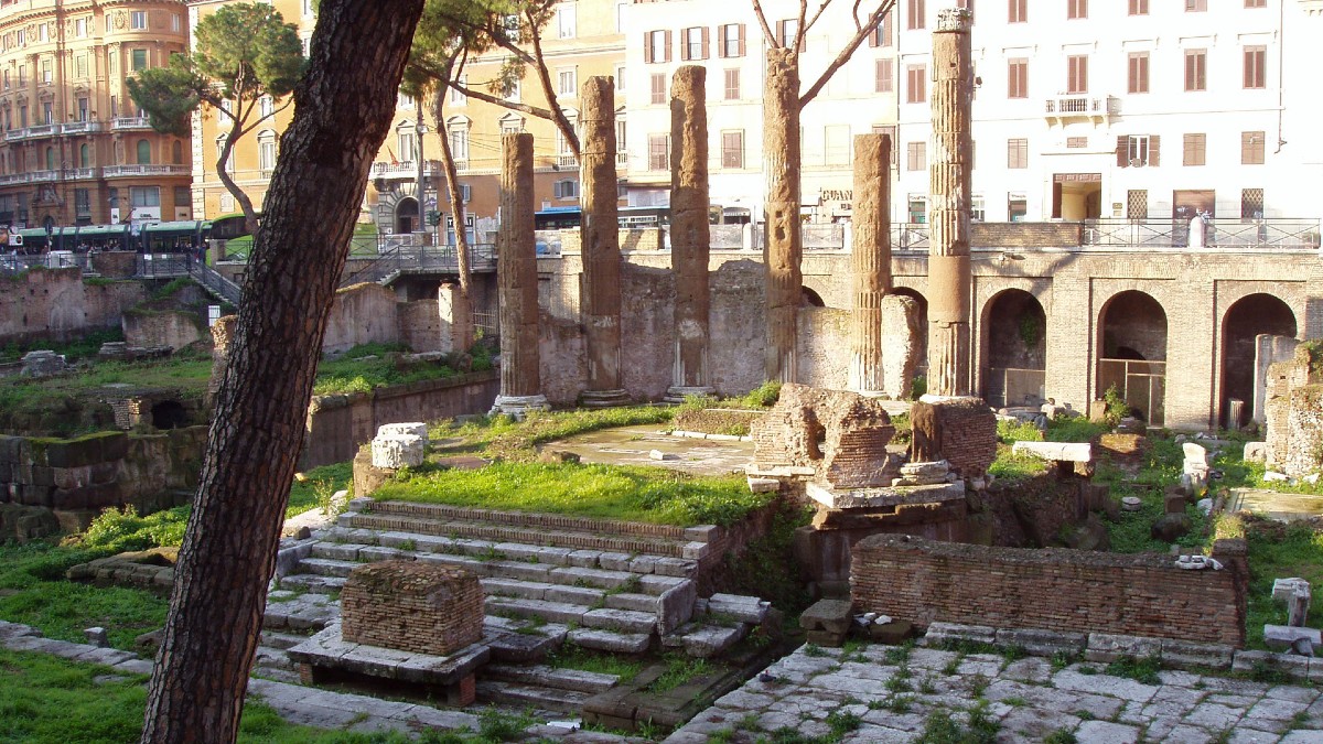 Visite Gratuite Con La Domenica Al Museo Anche In Sicilia Cosa