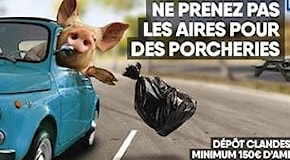 Belgio, maiale lancia immondizia da Fiat 500: la rivolta del fan club italiano