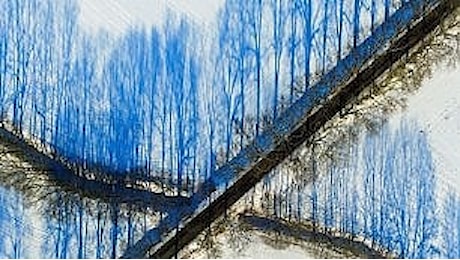 Germania, illusione ottica sulla neve: le ombre degli alberi sono blu