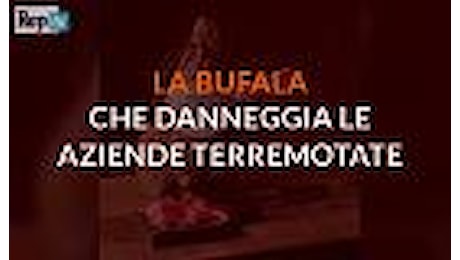 Non inviate soldi, il messaggio-bufala che danneggia le aziende terremotate