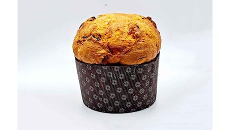 Re Panettone 2024: classifiche tradizionale e innovativo, i vincitori