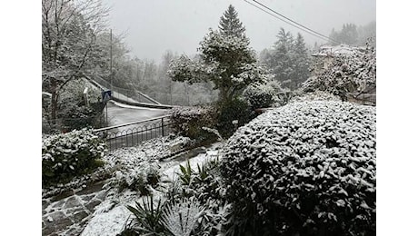 Neve sul Varesotto: fiocchi abbondanti fino alla sera di giovedì