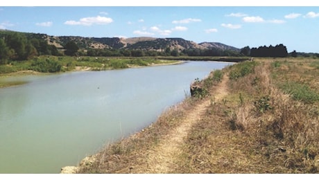 Primo responso del super-esperto: «L’acqua del Basento non è rischiosa»