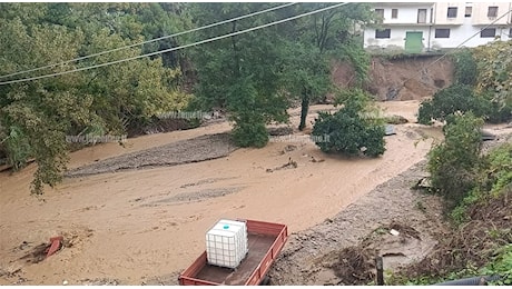 Comparto agricolo in ginocchio a Lamezia per maltempo, l’appello di Coldiretti: “Danni enormi, serve intervento istituzioni”