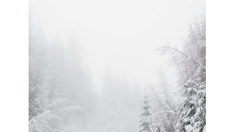 Bianco Natale in Puglia e Basilicata