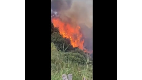 Incendi Sicilia, fiamme vicino Godrano: elicottero e Canadair in azione | VIDEO