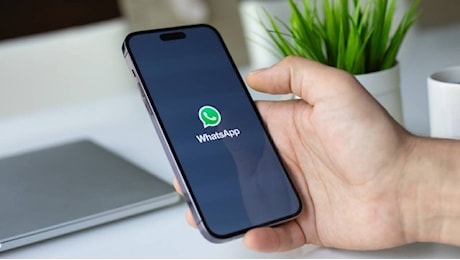 WhatsApp, la nuova funzione aiuta a evitare le truffe