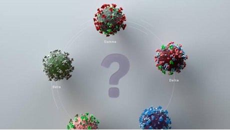 Covid 2024: sintomi, variante Xec, vaccino. A che punto è la malattia oggi in Italia e tutto quello che c'è da sapere