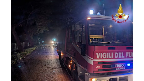 Maltempo: alberi caduti, piogge e vento in Toscana