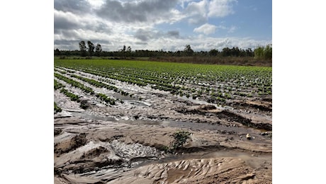 Alluvione sud Sardegna: «Dalla Regione subito 5 milioni di euro»