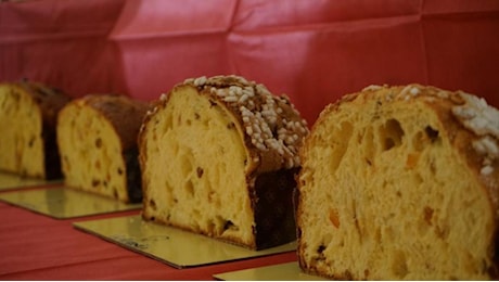 «Panettone d'artista», a Salerno lievitati in mostra come sculture d'autore