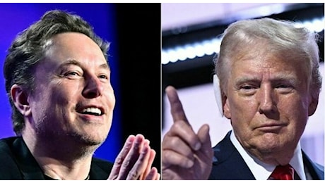 Trump, le nomine: Musk a capo del Dipartimento per l'efficenza governativa, il conduttore di Fox Hegseth guiderà il Pentagono. La squadra