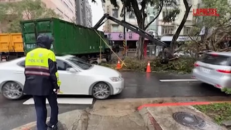 Taiwan, un albero cade durante il passaggio del tifone Kong-rey: il tassista si salva per un pelo