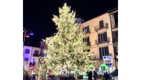 Como, abbattuto dal vento l'albero di Natale torna a splendere a tempo di record in piazza Duomo