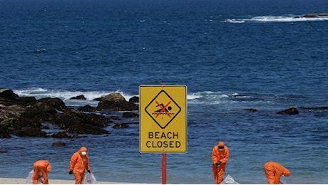 Cosa sono le misteriose sfere nere comparse su alcune spiagge di Sydney?