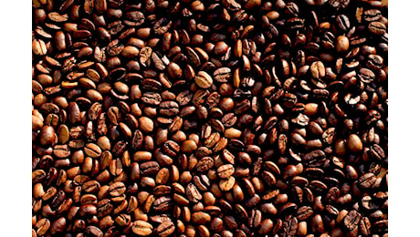 Cosa si nasconde dietro l'aumento record del prezzo del caffè