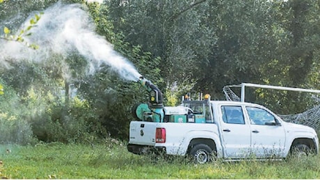 «West Nile, serve un vertice con l’Usl». I sindaci pronti a intervenire subito