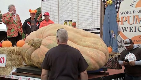 Halloween, è del Minnesota una delle zucche più grandi al mondo