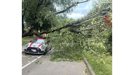 Allerta arancione per il vento forte a Como e provincia: raffiche fino a 90km