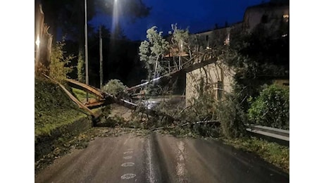 Vento fortissimo su Marche e Toscana: numerosi i danni