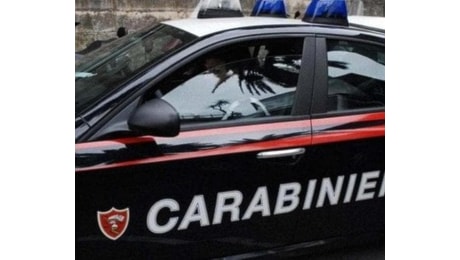 Trovato un cadavere nel bosco della droga tra Pogliano Milanese e Vanzago: la pista dell'omicidio