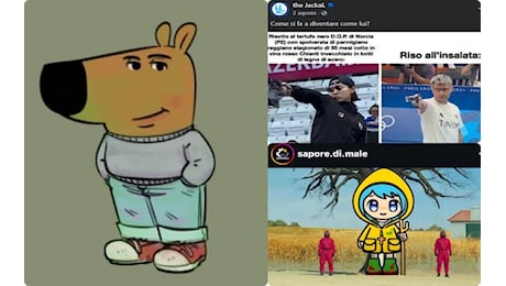 I migliori meme virali sui social nel 2024. FOTO