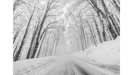 L'avviso del meteorologo Luca Lombroso: inaspettato Bianco Natale in alcune zone d’Italia, ecco dove cadrà la neve il 25