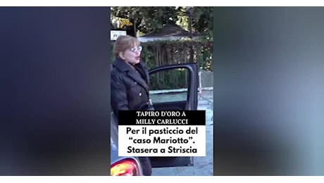 Tapiro d'oro a Milly Carlucci per il caso Mariotto: Figlia de 'na mign***a non era rivolta a me, il 'fallo di mano' non era intenzionale - VIDEO