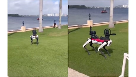 Un cane robot fa la guardia nella residenza di Trump in Florida: ha una telecamera al posto della testa