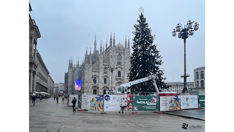 Eventi - La città si accende per le festività natalizie: un Natale di luci, alberi e magia in ogni quartiere - Urbanfile