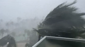 L’uragano Beryl ancora in azione: in Jamaica il vento quasi sradica le palme