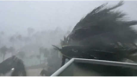 L’uragano Beryl ancora in azione: in Jamaica il vento quasi sradica le palme