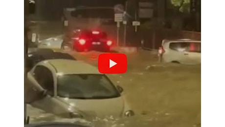 Alluvione a Bologna: le auto vengono trascinate via e galleggiano nell'acqua. Video