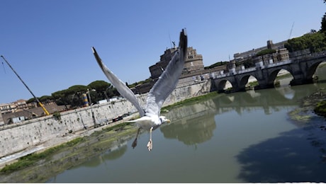 «Il Tevere sarà patrimonio Unesco da ponte Cavour a ponte Sublicio». Il fiume di Roma è inserito nel sito del Centro Storico