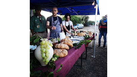 “Non era solo Garum”, a Porto Torres la cucina dell’antica Roma