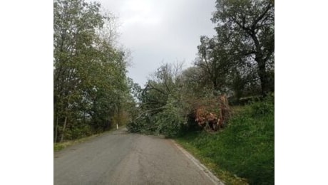 Vento forte nel Maceratese, riaperte tutte le Strade Provinciali