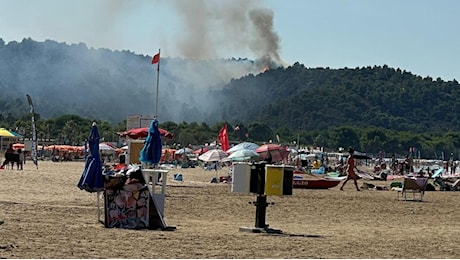 Incendio a Vieste: fiamme nel bosco di Baia San Felice, evacuato villaggio turistico con oltre mille persone