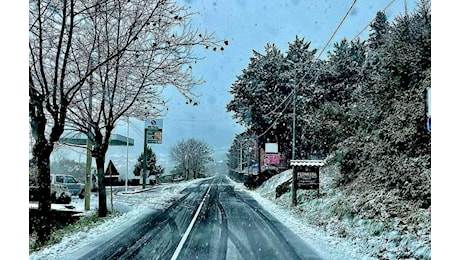 Monti Nebrodi: E’ arrivata la prima neve, Floresta imbiancata