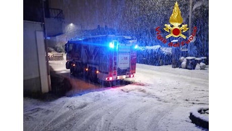 Alberi caduti e tagli piante per la neve: notte di lavoro per i vigili del fuoco, attenzione al ghiaccio