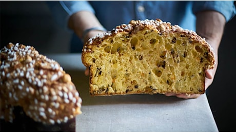 Osservatorio Sigep: panettone e pandoro protagonisti del Natale tra tradizione, innovazione e rincari