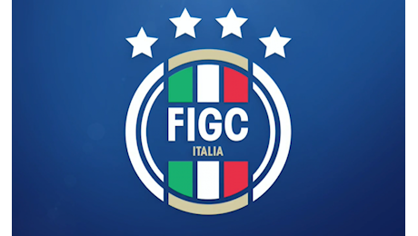 FIGC, convocata la nuova assemblea elettiva: ecco la data