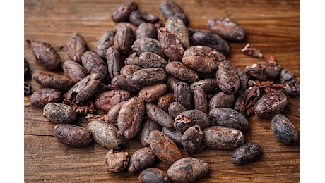 Materie prime: record prezzo cacao su mercati, +170% in 2024