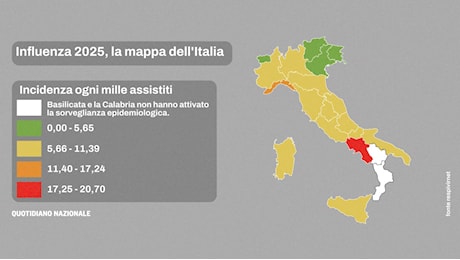 Quanto dura l’influenza 2025. “La vera pandemia nascosta è la resistenza agli antibiotici”