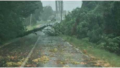 Piogge in esaurimento, mercoledì allerta per vento e frane previsioni