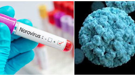 Novovirus, scatta l'allarme: gastroenterite per oltre 300 persone. «Il contagio parte dai serbatoi»