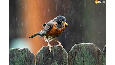 Meteo Torino, previsioni da Martedì 15 a Giovedì 17 Ottobre