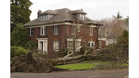 Ciclone bomba senza precedenti colpisce Seattle con venti furiosi: oltre 600 mila senza elettricità