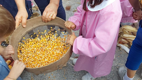 Sora – All’asilo di Carnello i nonni si festeggiano rivivendo gli antichi mestieri: ecco la “scartocciata”