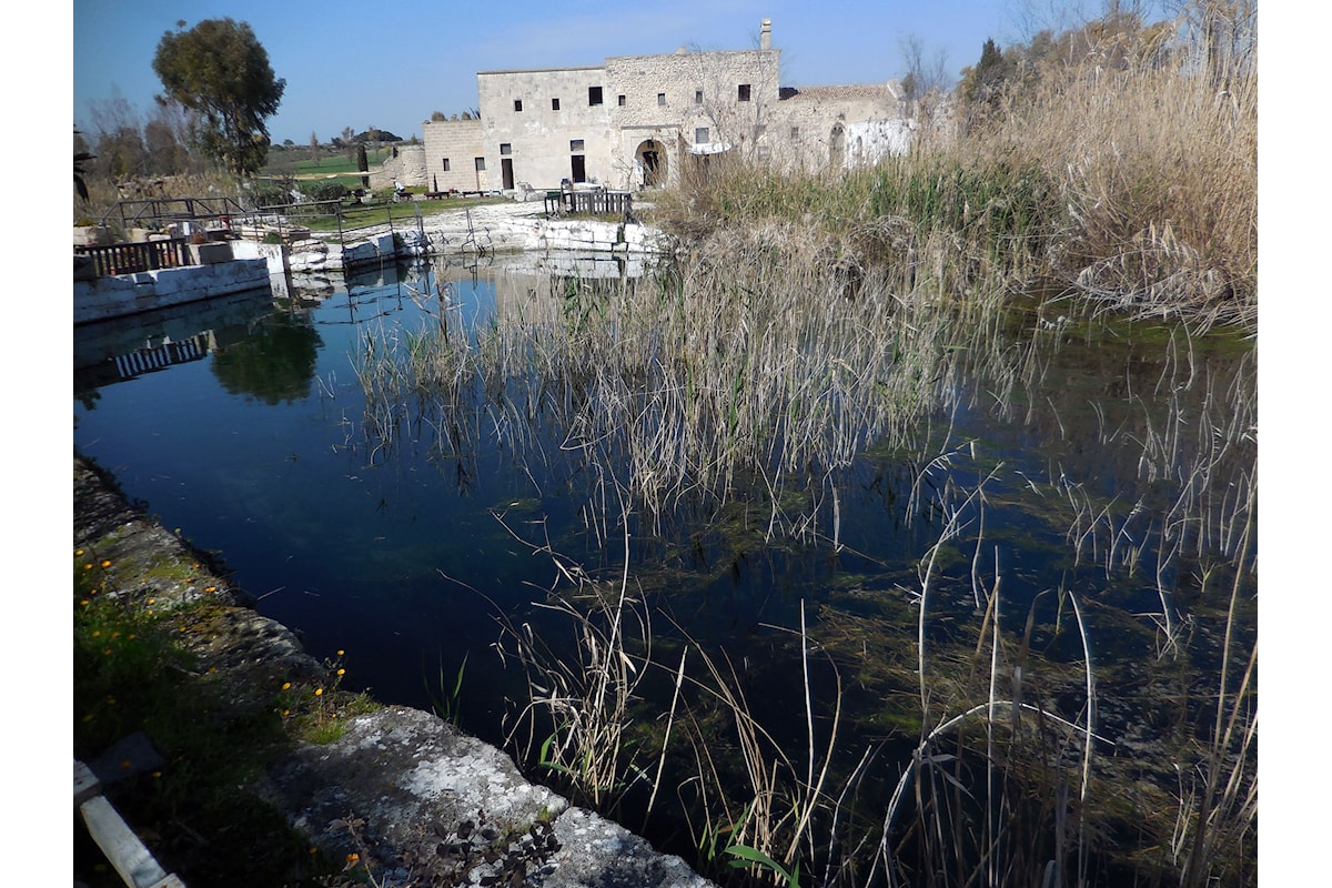 Una domenica a 6 zampe in natura nell’Oasi dei Battendieri