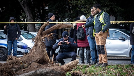 Colli Aniene, la rabbia dei residenti dopo la morte di Francesca Ianni: «Qui da anni mai fatta manutenzione del verde»